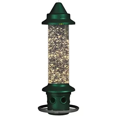 Outdoor Bird Feeder for Backyards and Patios with Squirrel-Resistant Design and Feeding Ring