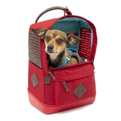Kurgo Nomad Carrier Backpack