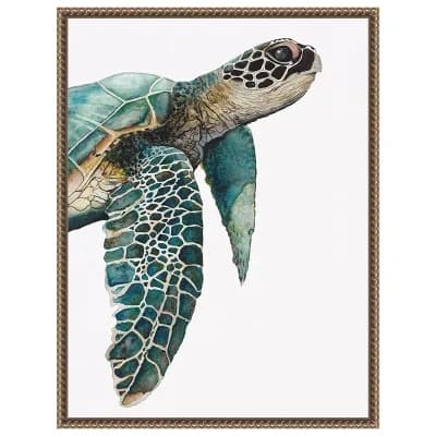 Great Sea Turtle by Jodi Hatfield Framed Canvas Wall Art Print