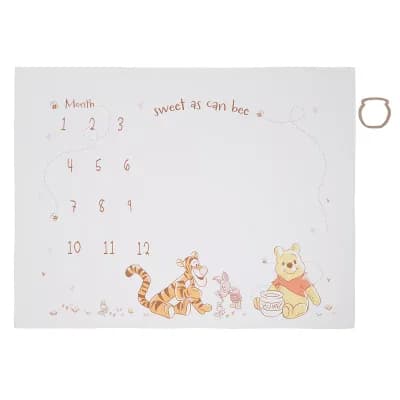 Disney's Winnie the Pooh Milestone Blanket