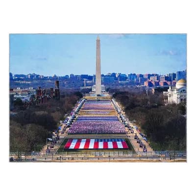 Rugs.com Lincoln Capitol Throw Rug