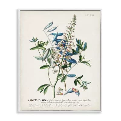 Stupell Home Decor Flowers And Leaves Vintage Design Framed Wall Art