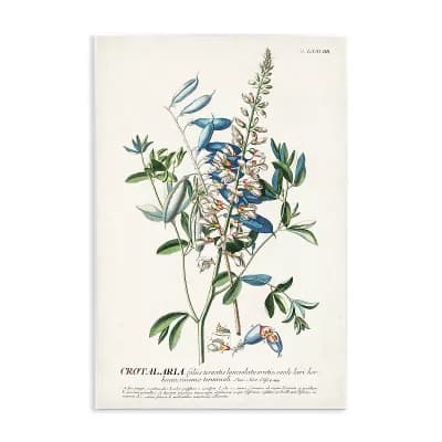 Stupell Home Decor Flowers And Leaves Vintage Design Plaque Wall Art