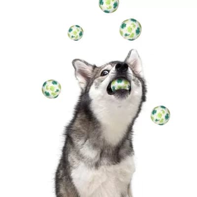 St, Patrick's Day Shamrock Dog Tennis Balls
