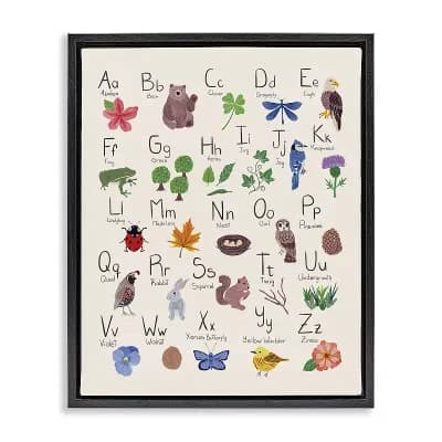 Stupell Home Decor Animal Alphabet Framed Canvas Wall Decor