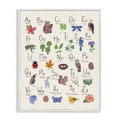 Stupell Home Decor Animal Alphabet Thin Frame Canvas Wall Art
