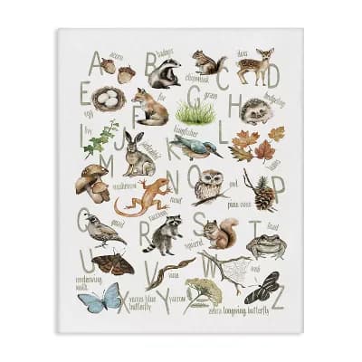 Stupell Home Decor Woodland Nature Alphabet Canvas Wall Art