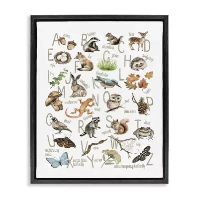 Stupell Home Decor Woodland Nature Alphabet Framed Canvas Wall Art