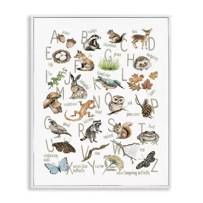 Stupell Home Decor Woodland Nature Alphabet Thin Frame Canvas Wall Art