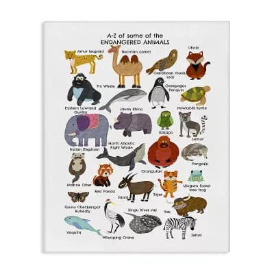 Stupell Home Decor Children's Endangered Animals Fun Alphabet Canvas Wall Art