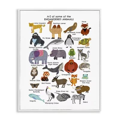 Stupell Home Decor Children's Endangered Animals Fun Alphabet Framed Wall Art