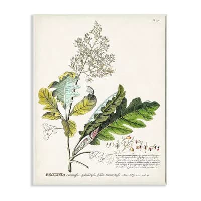 Stupell Home Decor Botanical Plant Illustration Plaque Wall Art