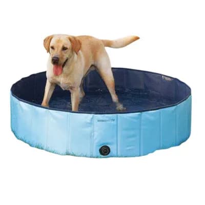 Cool Pup Splash About Portable Dog Pools
