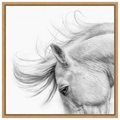 Amanti Art Flair by PHBurchett Framed Canvas Wall Art Print
