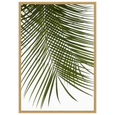 Palm Leaves Foliage Photo IV by Amini54 Framed Canvas Wall Art Print