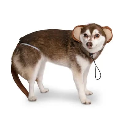 Midlee Monkey Headband & Tail Dog Costume