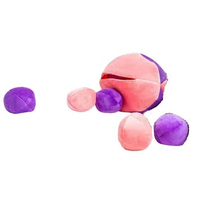 Midlee Hide A Ball Dog Toy