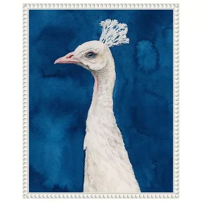 Snowy Peacock II by Grace Popp Framed Canvas Wall Art Print