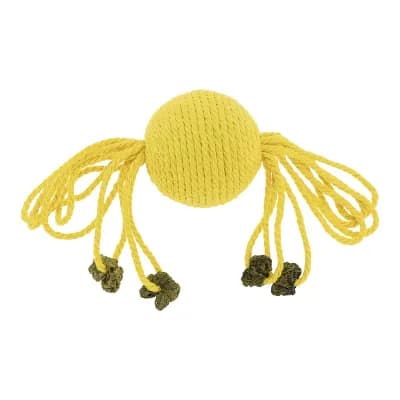 Cat Playing Ball with Galls Fruit, Interactive Safe Teeth Cleaning Cat Chew Balls 7.87"x2.09"