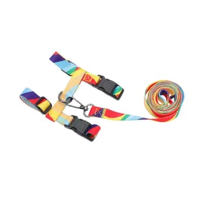 Cat Harness and Leash Set, Escape Proof Soft Lightweight Harness for Travel Walking