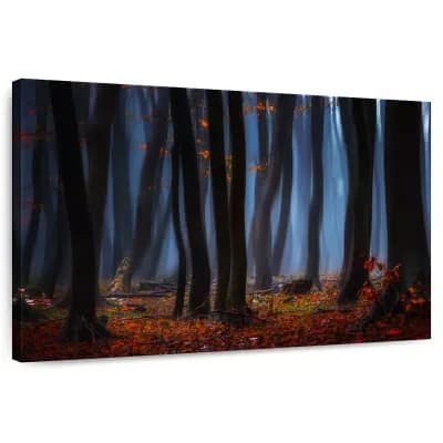 Dusky Forest Wall Art