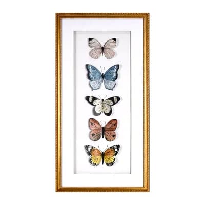 Various Butterfly Shadowbox Wall Decor