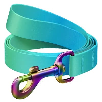 WAUDOG Nylon Dog Leash