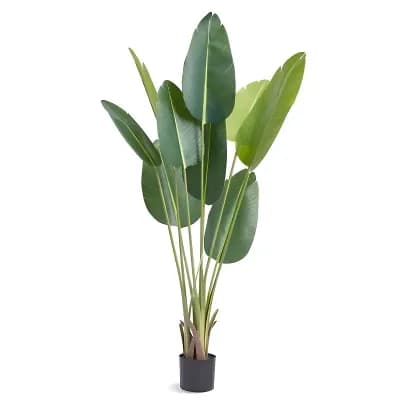 Tall Artificial Bird of Paradise Indoor Floor Plant for Living Rooms