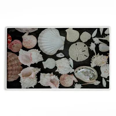 Stupell Home Decor Summer Shells Mat