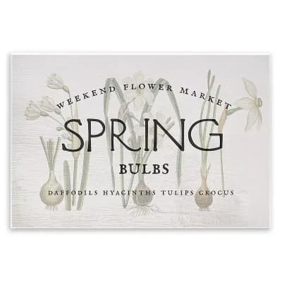 Stupell Home Decor Spring Weekend Flower Market Plaque Wall Art