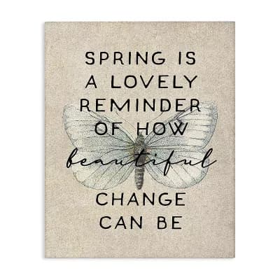 Stupell Home Decor How Beautiful Change Can Be Stretched Canvas Wall Art