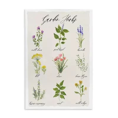 Stupell Home Decor Garden Herb Illustrated Chart Plaque Wall Art