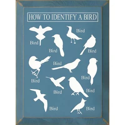Decorative Wood Wall Sign 9x12 Bird Identification Quote Art
