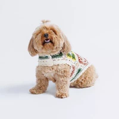 Cherry Crochet Top