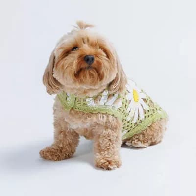 Sunshine Crochet Top