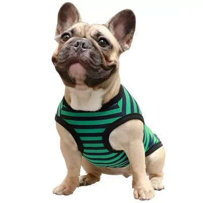 Striped Cotton Puppy Shirt
