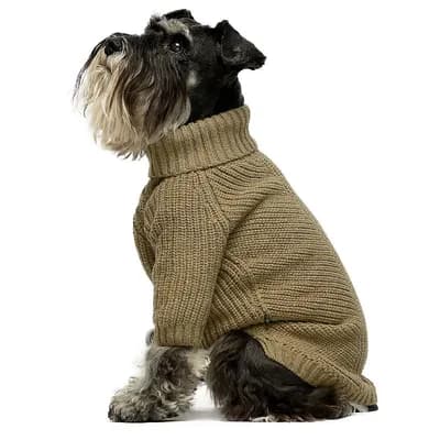 Cozy Puppy Sweater Jacket