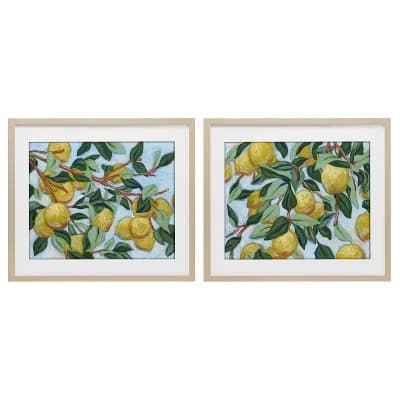 Stupell Home Decor Sunshine Lemon Tree Framed Print Under Glass Wall Art 2 pc Set