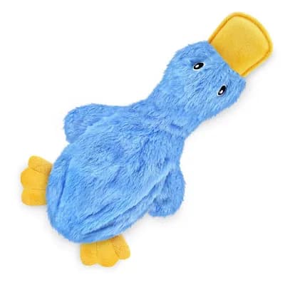 Squeaky Duck Dog Chew Toy