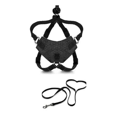 Secure Cat Walking Harness