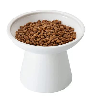 Durable Ceramic Cat Feeding Bowl