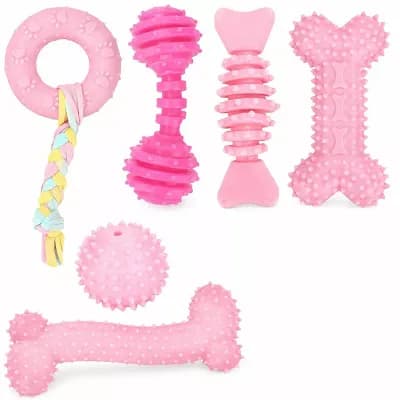 Puppy Chew Toy Set