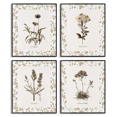 Stupell Home Decor Neutral Imperial Flower Studies 4 pc Framed Canvas Wall Art Set