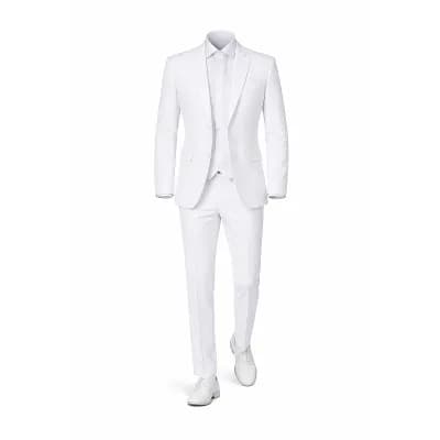 Mens Elegant Two Piece Suit