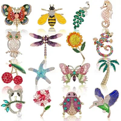 Animal Insect Pin Collection