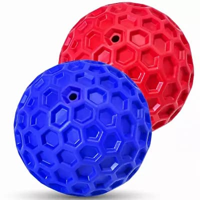 Interactive Dog Chew Toy