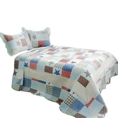 3 pc Cotton Reversible Vermicelli Printed Quilt Set Bedding with Matching Shams
