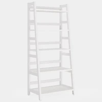 5 tier Ladder Bookshelf, Space Saving Metal and Wood Storage Shelf for Home Office
