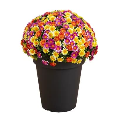 nearly natural 18-Inch UV Resistant Artificial Mixed Daisy Plant