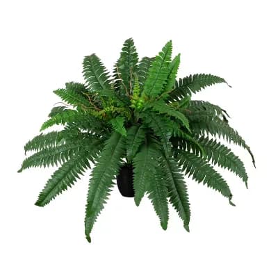 nearly natural Artificial Self-Shaped Boston Fern Plant 24-Inch Decor